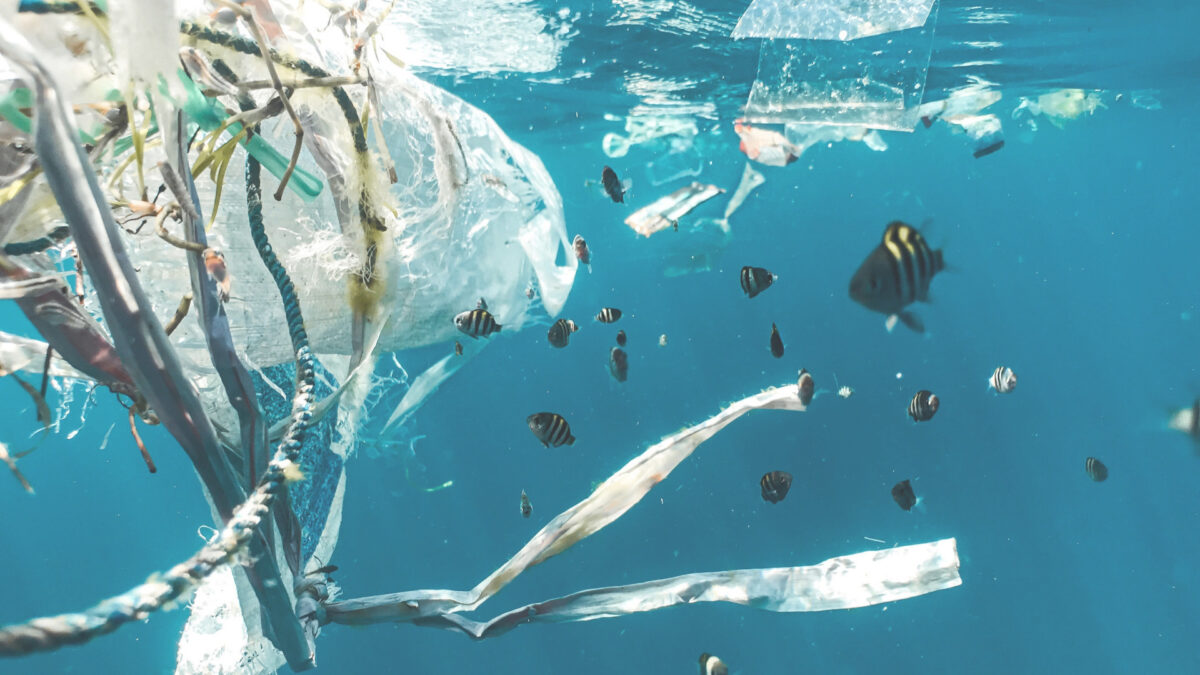 ECOWEL エコウェルはプラスチックによる海洋汚染のない社会を目指します。